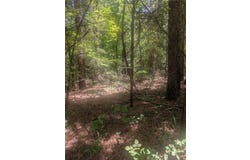 Yates Street, Hawkins, TX 75765