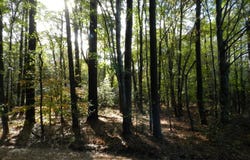 BATTLE POINT RD lot: E2, JAMESVILLE, VA 23398