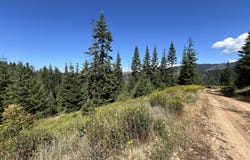 10 Kingston Way, Kingston, ID 83839