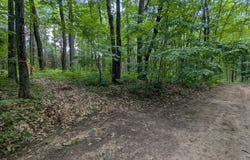 Fosmo lot: 5, Webster, WI 54893