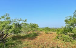 S Hwy 16, Comanche, TX 76442