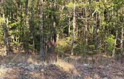 PINEY WOODS ROAD lot: 3, VINCENT, AL 35178