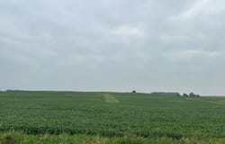 465th St - Parcel 2, Fairfax, MN 55332