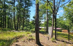 271 Coon Dog Path, Moyers, OK 74523