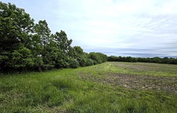 Legacy Meadows lot: 1, Martinsville, IN 46151