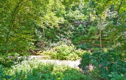 Green Hill Road, Fordland, MO 65652