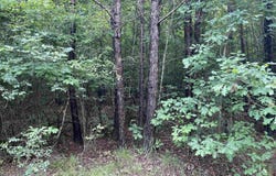 Co Rd 24, Eldridge, AL 35554