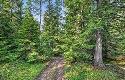 302 Griffith Creek Road, Eureka, MT 59917