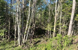 Alexes Lane, Ripley, WV 25271
