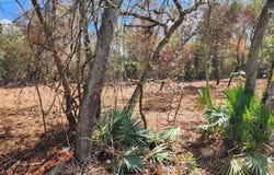 20445 SE 156TH ST, UMATILLA, FL 32784
