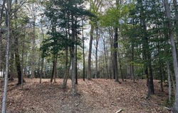Eagle Lane lot: 2, Surry, VA 23883
