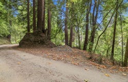 0 Pringle LN, SOQUEL, CA 95073