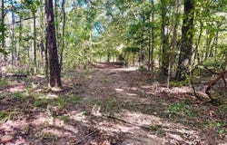 County Road 211, Carrollton, MS 38917
