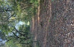 BUNDY LAKE Road, Keystone Heights, FL 32656