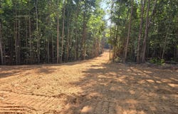White Drive, Snow Camp, NC 27349