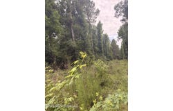 Candy Lane, McComb, MS 39648
