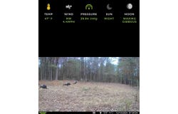 811 Polk Rd, Cove, AR 71937