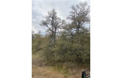 County Road 405, Buckholts, TX 76518