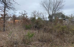 Chickasaw, Smithville, TX 78957