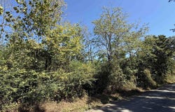Midget Road, Dennard, AR 72629