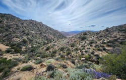 20 W Omega Trl, YUCCA VALLEY, CA 92286