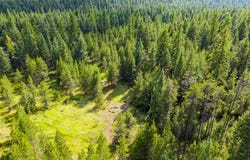 582 Whitefish Hills Loop, Whitefish, MT 59937