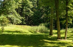 414 Buck Road, Stone Ridge, NY 12484
