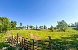1185 Blackburn Rd., MCKENZIE, TN 38201