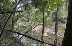 18500 Brooklyn Rd, Evergreen, AL 36401