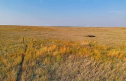 County Road, Sharon Springs, KS 67761