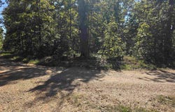 L-1 B-11 Eagle Pass, Ozark Acres, AR 72482