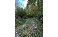 Left Fork Marshalls Branch, Jenkins, KY 41537