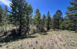 82 Kiowa Cir, Westcliffe, CO 81252