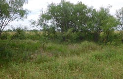 15201 TX-153, Winters, TX 79567