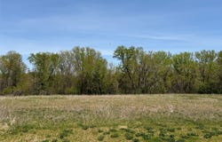 Blackstone Trail lot: 1, Eleva, WI 54738