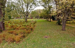 5609 River Road, Lisle, IL 60532