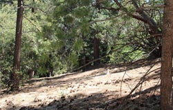 8 Big Rock Drive, Idyllwild, CA 92549