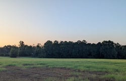 Parcel # 215499 FM 343W, Cushing, TX 75670