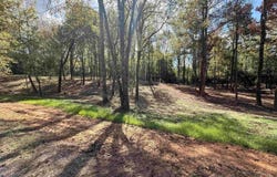 288 Co Rd 1123, Vinemont, AL 35179
