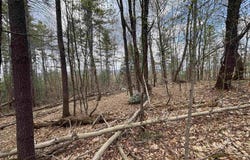 0 Snell Road, Chester, VT 05143