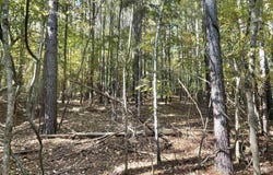 HIGHWAY 75 lot: 2, ONEONTA, AL 35121