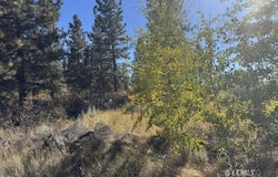 Irving Way, Chiloquin, OR 97624