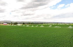 de Rham Valley Drive, Gallatin Gateway, MT 59730