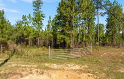 HWY 11, Purvis, MS 39475