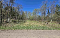 Murphy Road, Covington, MI 49919