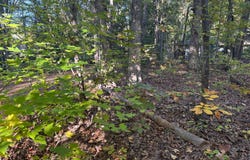 204 CONSTITUTION Boulevard, LOCUST GROVE, VA 22508