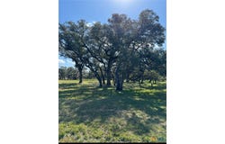 91 Post Oak Branch, Inez, TX 77968