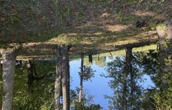 Short Road, Limestone, TN 37681