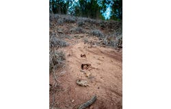 Tract 4 Acme RD, Asher, OK 74826