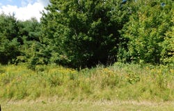 29 Robinson Boulevard, Medway, ME 04460